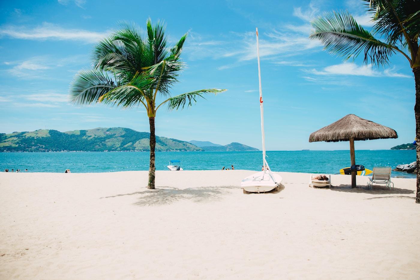 Hammock resting beneath palms beside Caribbean water
