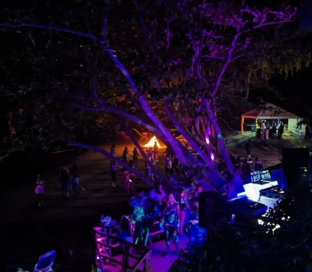 Beach bonfire gathering under the trees at night
