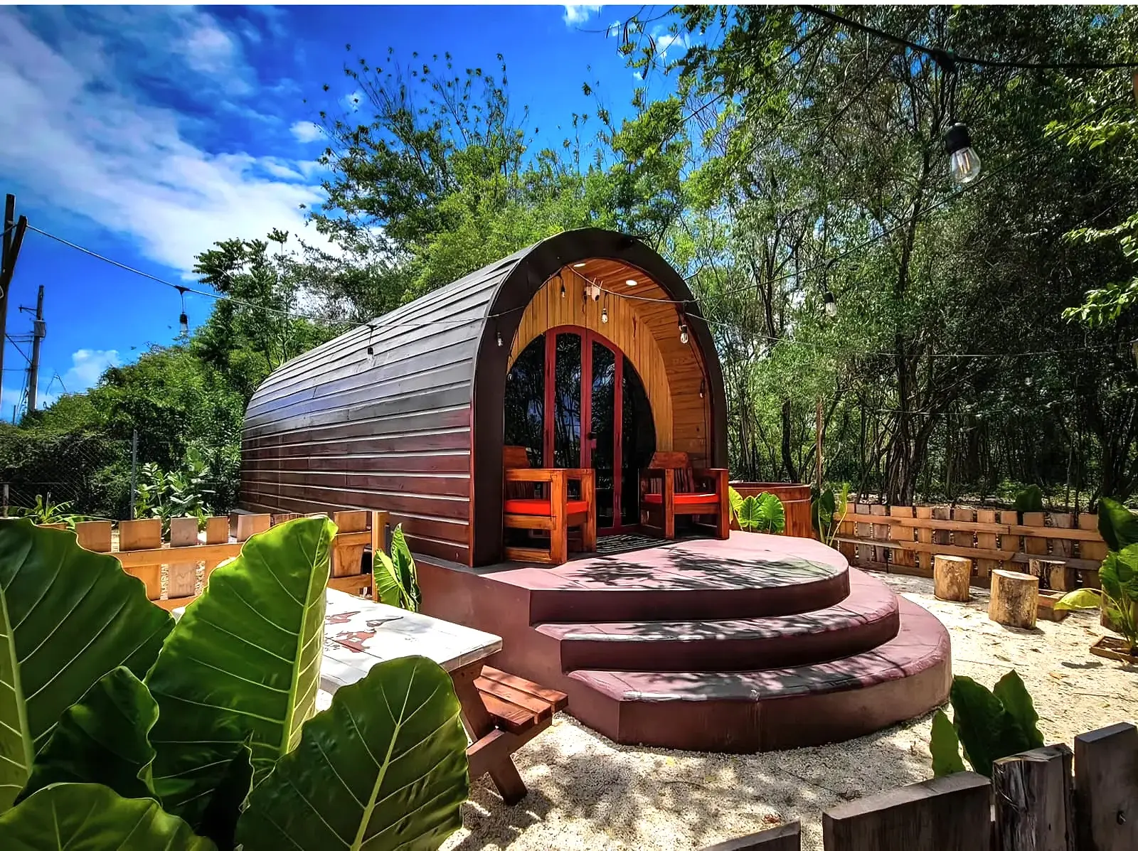 Timber glamping pod and private deck surrounded by tropical greenery at Glampedd