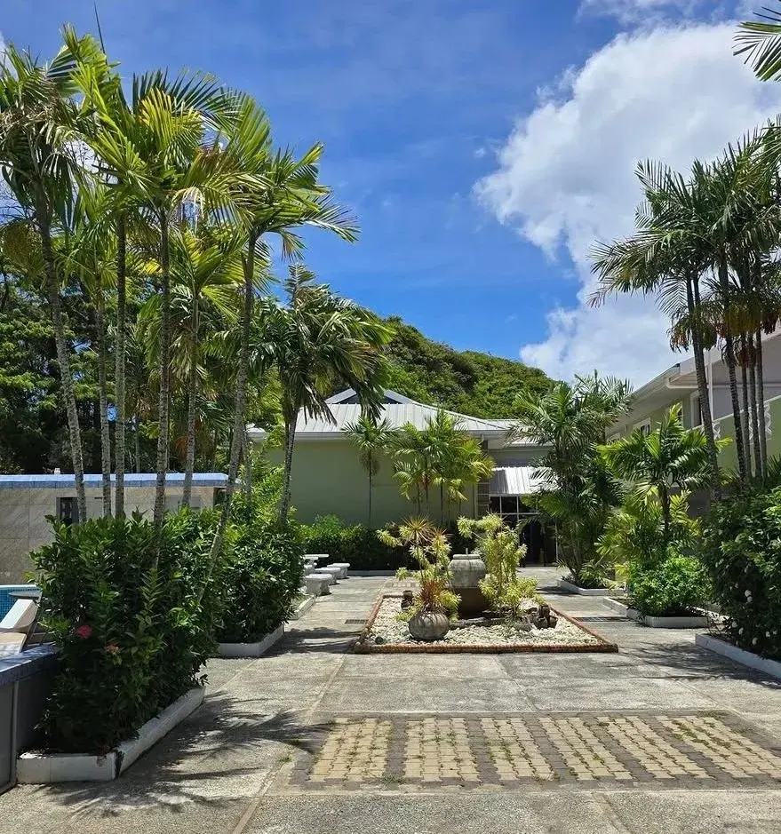 Palm-shaded courtyard garden leading to the main house