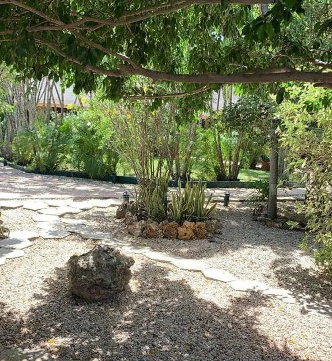 Shaded garden path through the tropical grounds