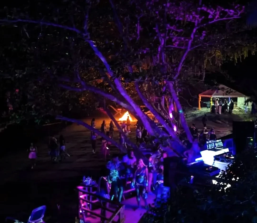 Beach bonfire gathering under the trees at night