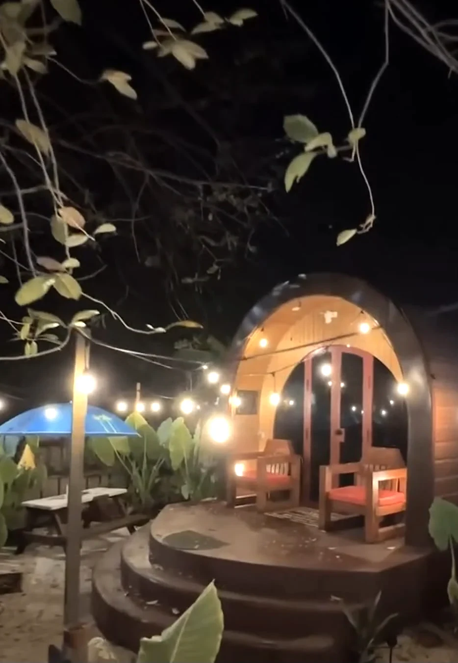 Glampedd cabin and tropical grounds after dark