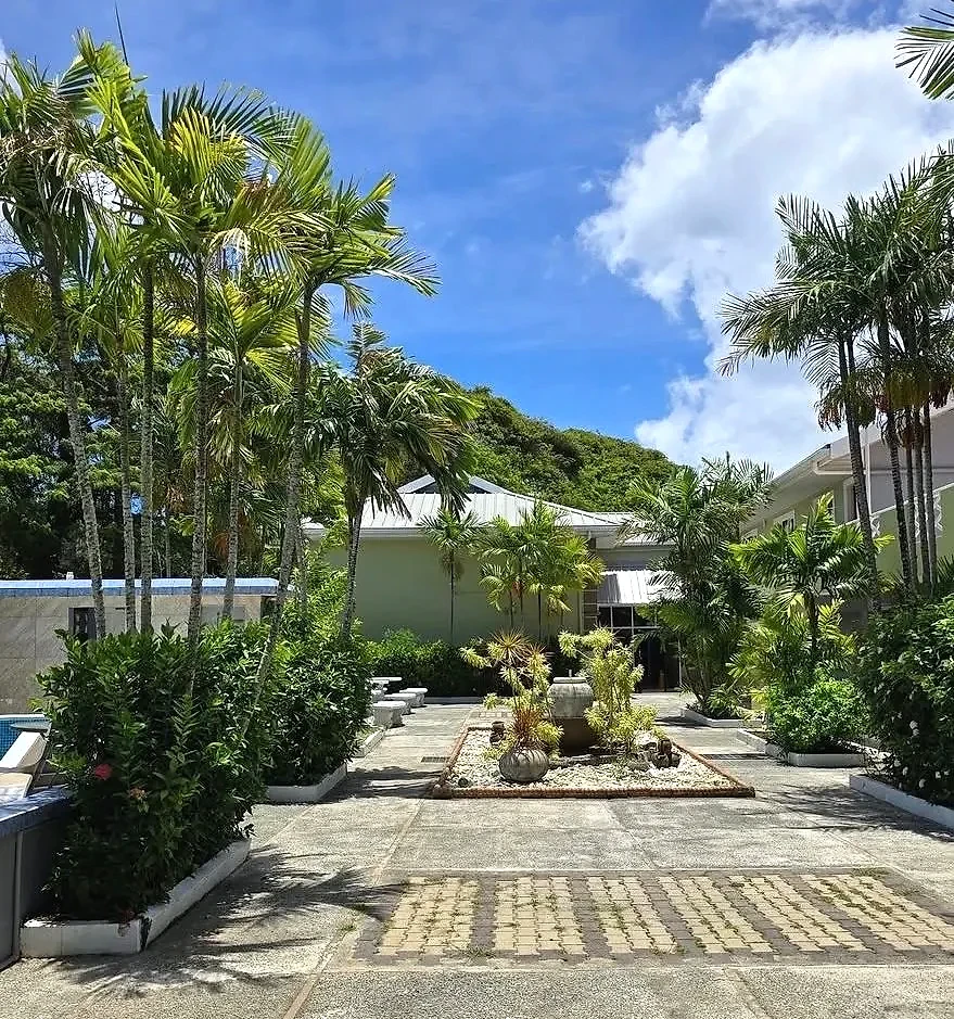 Palm-shaded courtyard garden leading to the main house
