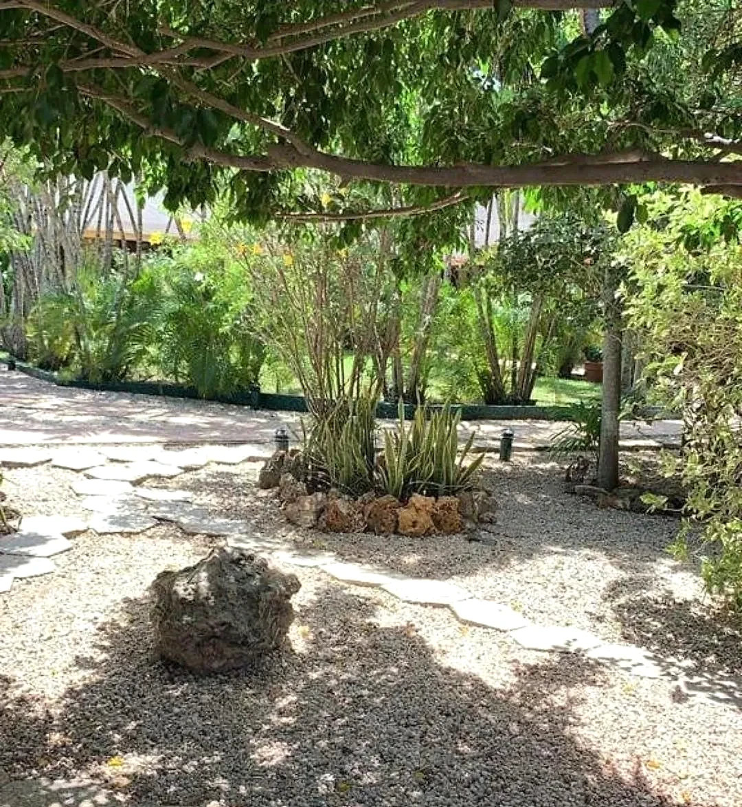 Shaded garden path through the tropical grounds